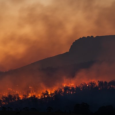 feu de foret